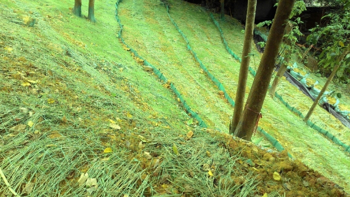 【承攬】103-104年第二殯儀館周邊墳墓遷置工程(大安9公墓部分墓區) 【承攬】103-104年第二殯儀館周邊墳墓遷置工程(大安9公墓部分墓區)